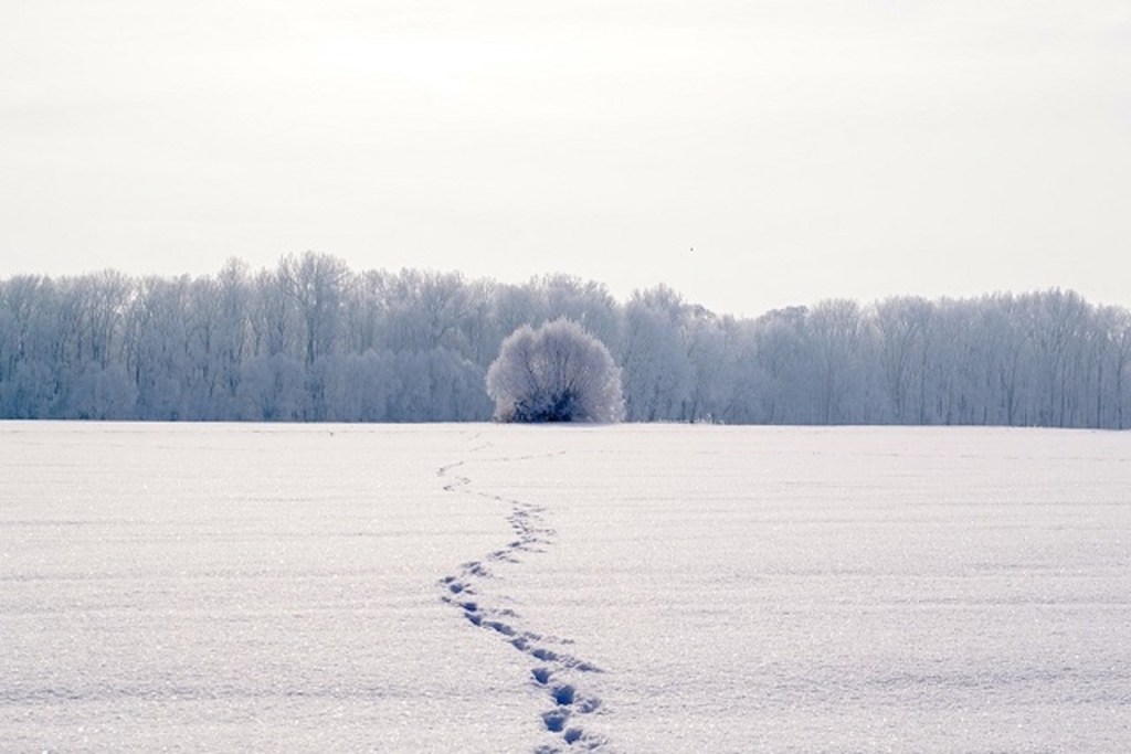 ‘Begin within’