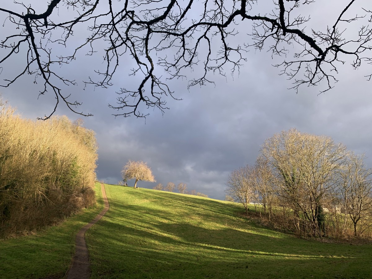 Following the Shafts of&nbsp;Light